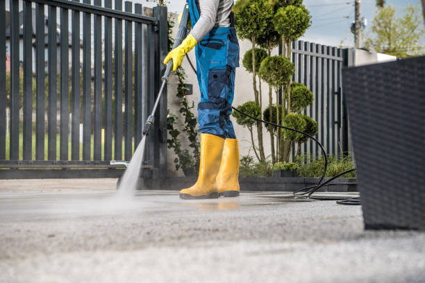 Best Animal Enclosure Cleaning  in Rden City, GA